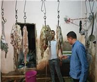 ضبط وإعدام أكثر من 400 كيلو لحوم غير صالحة للاستهلاك الآدمي بسوهاج