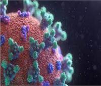  المصل واللقاح: الإصابات الحالية بكورونا لا ترتقي لـ«موجة جديدة» | فيديو