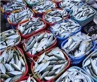 استقرار أسعار الأسماك في سوق العبور ثالث أيام العيد