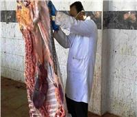 ذبح 8 رؤوس ماشية وتوزيعها بقرى «حياة كريمة» بمركز الحسينية في الشرقية