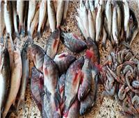ننشر أسعار الأسماك في سوق العبورالثلاثاء 12 يوليو