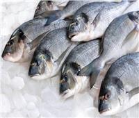 استقرار أسعار الأسماك في سوق العبور الأربعاء 13 يوليو