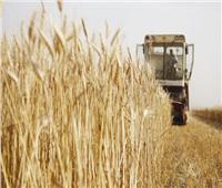 أوكرانيا تضرم النار في حقول القمح على الحدود مع منطقة خيرسون