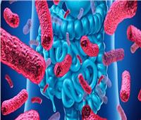 نصائح صحية.. 10 طرق لتحسين «بكتيريا الأمعاء»