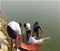العثور على جثة مجهولة طافية على مياه النيل بالمنوفية 