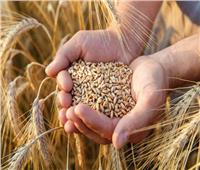 روسيا: الإعلان عن اتفاق نهائي حول أزمة الحبوب الأوكرانية قريبًا