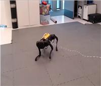 كلب آلي يعلم نفسه المشي | فيديو