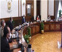مجلس الوزراء يوافق على قرار إعادة تنظيم المجلس الأعلى للآثار