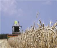 موسكو تتوقع تصدير 37 مليون طن من الحبوب للموسم الحالي