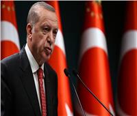 أردوغان: نأمل من إيران وروسيا دعم عملية اجتثاث التنظيمات الإرهابية في سوريا 