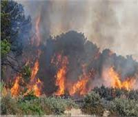 تونس: نفذنا 40 طلعة جوية للسيطرة على حريق منطقة «برج السدرية»