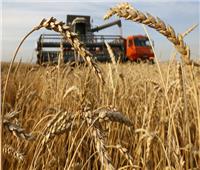 روسيا: المحادثات مع الأمم المتحدة بشأن الحبوب الأوكرانية مستمرة