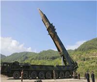 كوريا الجنوبية تضع خطة لنزع السلاح النووي من جارتها الشمالية