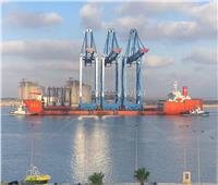 ميناء دمياط يستقبل 3 أوناش عملاقة للعمل على تداول الحاويات | صور