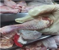 ضبط 220 كيلو دواجن ولحوم فاسدة في حملة على المطاعم بالسويس | صور
