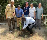 الكنيسة الأسقفية بالإسكندرية تطلق مبادرة «زراعة أشجار»