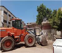حملات نظافة بالعديد من القرى والشوارع بـ«المحلة»