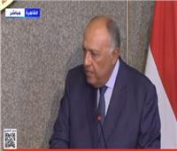 وزير الخارجية: مصر تؤكد على أهمية الحل الدبلوماسي في الأزمة الروسية الأوكرانية