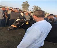 «بيطري الغربية»: انتظام العمل بأسواق الماشية الحية بالمحافظة 