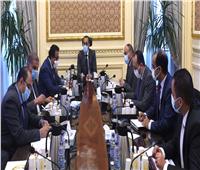 رئيس الوزراء يبحث فرص التعاون وزيادة الاستثمارات المشتركة «المصرية - القطرية»