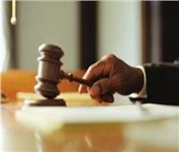 اليوم.. استكمال محاكمة متهم في قضية «أحداث عنف البساتين»