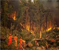السلطات اليونانية: احتواء حرائق الغابات التي اندلعت لليوم الثامن