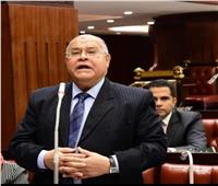 الشهابي: هناك جدية في الوصول بالحوار الوطني إلى مستوى تطلعات الشعب المصري