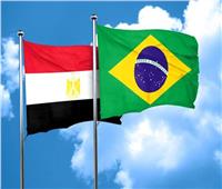 المركزي للإحصاء: 83.7 مليون دولار إجمالي صادرات مصر للبرازيل  