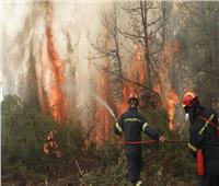 حرائق الغابات قد تدمر سلوفينيا.. والسبب وجود قنابل عمرها 100 عام