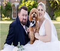 صيحة جديدة في حفلات الزفاف.. «كلب» يقود العروسين