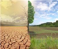 البحوث الزراعية: تغير المناخ حرك مواعيد الزراعة| فيديو