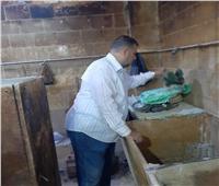 تحرير ١٤ محضرًا ضد مخابز بلدية في البحيرة