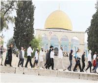 في ذكرى «خراب الهيكل» المزعوم.. إسرائيل تسمح للمستوطنين باقتحام المسجد الأقصى غدًا