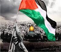 أستاذ علوم سياسية: إسرائيل لن تعيش في استقرار إلا بحل القضية الفلسطينية