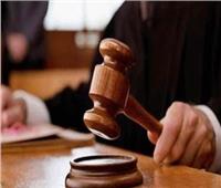تأجيل محاكمة «مستريح المواشي» إلى 6 سبتمبر لسماع شاهد الإثبات