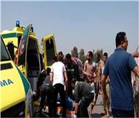 مصرع سيدة صدمتها سيارة بطريق «طنطا - كفر الشيخ الدولي» بالغربية 