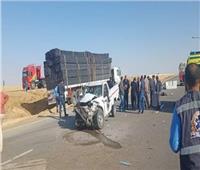مصرع شخصين في حادث انقلاب سيارة نقل أعلى الطريق الإقليمي بالجيزة‎‎