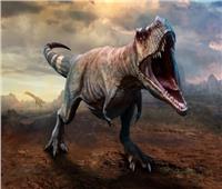 اكتشاف سر «العضة المميتة» لملك الديناصورات | صور