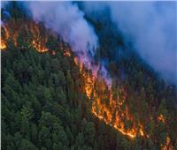 3 أسباب وراء حرائق الغابات.. أبرزها الرطوبة