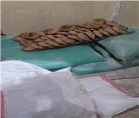 ضبط دقيق مدعم داخل مخبز سياحي بشرق الإسكندرية