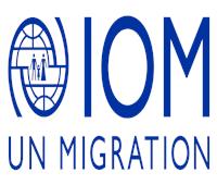  المنظمة الدولية للهجرة: الشباب هم حاملي المبادرات في التغييرات الإيجابية