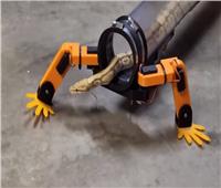 روبوت يساعد الأفاعي على «المشي»| فيديو وصور