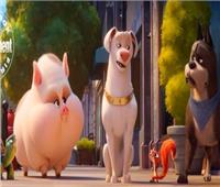 109 ملايين دولار إيرادات فيلم «DC League of Super-Pets» 
