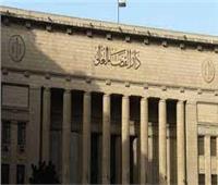 استئناف القاهرة ترفض دعوى طلاق للضرر بسبب التعدد