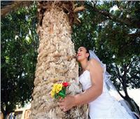 حكايات| حفلات «كومبه فيفا».. نساء يتزوجن الأشجار 