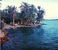 الحكومة تنفي صدور قرار بتجفيف بحيرة " فطناس" في واحة سيوة