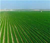 الزراعة: لولا اهتمام الرئيس السيسي بالمشروعات الزراعية لكنا في موقف صعب