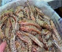 خبير ثروة سمكية: استيراد «الجمبري الكداب» بدون معرفة تفاصيل عن دورة حياته 