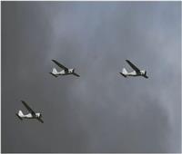 نائب روسي: كييف ترسل طائرات مسيرة إلى سماء القرم 