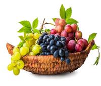 أيهما أكثر فائدة العنب الداكن أم الفاتح ؟